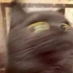 我该怎么说你2020年的西安