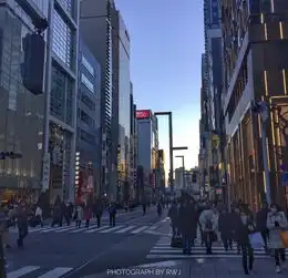 测试一个超长简介的文章
