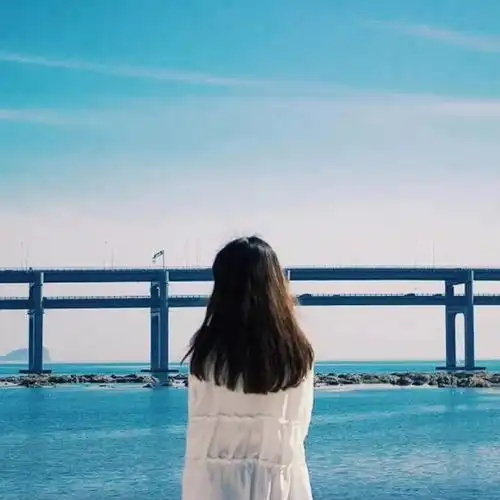 头像因为是你,所以愿意