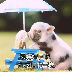 精致的猪猪女孩养生表情包精致的猪猪女孩养生表情包高清无水印版