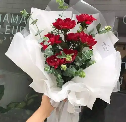 不要委屈自己,你也是宝贝青春