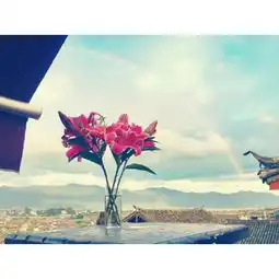 什么软件能做成这种白色的边框