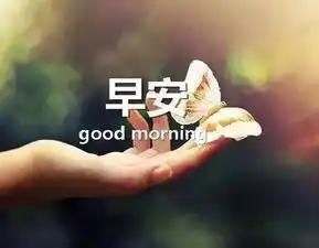 早安正能量带字图片唯美励志文字微信图片