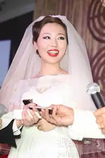杜德伟与娇妻台北再办婚宴宣告两年后再造人