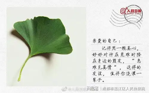 今天是世界邮政日写给自己的一封信网易订阅