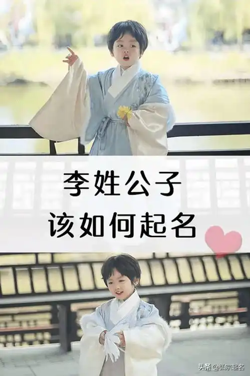 宝宝起名李姓公子该如何起名这么起文采出众,前程似锦