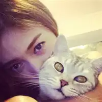 测试一个超长简介的文章