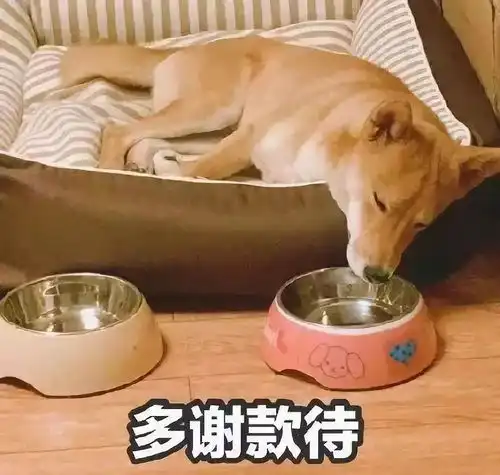 确定了今年情人节就这样过,不要太羡慕