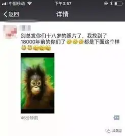测试一个超长简介的文章