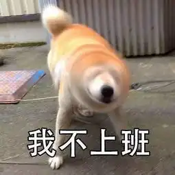 闹元宵情人节去哪儿,这里一take过满足你所有愿望