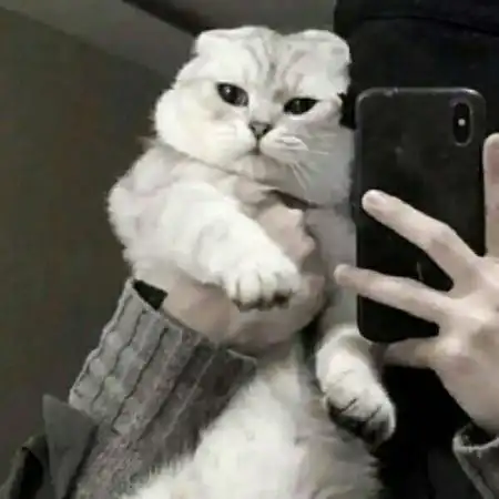 复古情侣头像港风,这种复古色还是有喜欢的