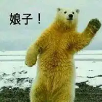 娘子啊哈搞笑情头你在世界都是快乐的