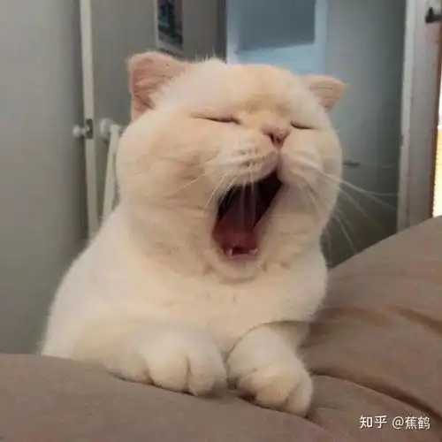 有哪些特别好看的情侣头像或者微信qq头像