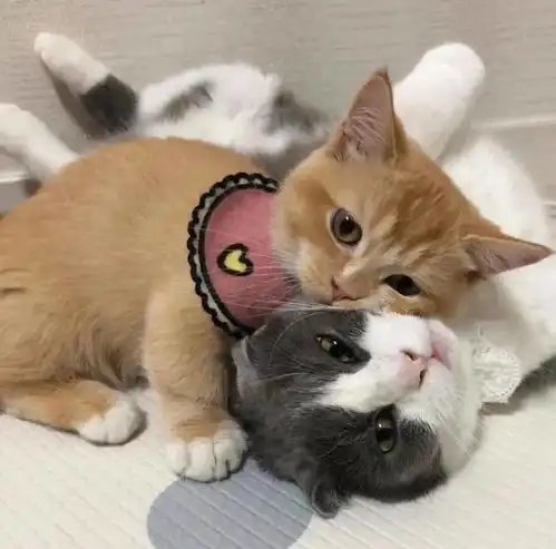 头像遇花闻花,遇海看海