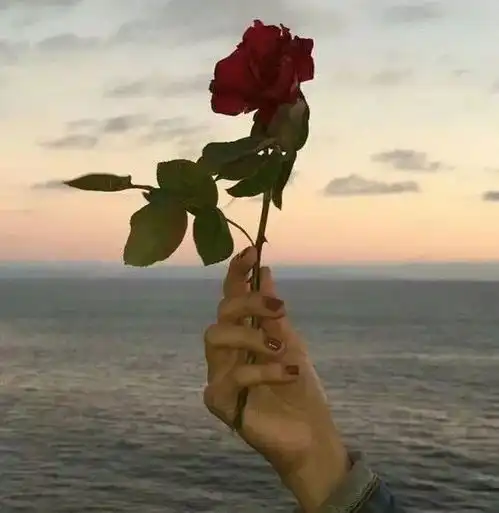 格局很透彻