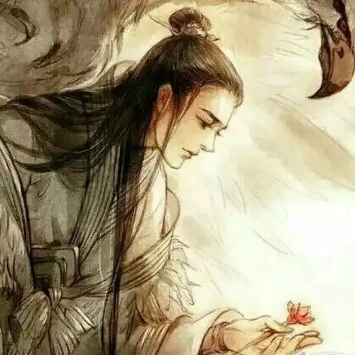 测试一个超长简介的文章