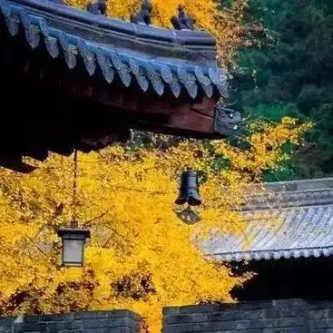 水北看文化展厅丨鄣吴会客厅
