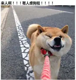 2016年情人节秀恩爱尺度竟如此之大单身狗必备反击攻略
