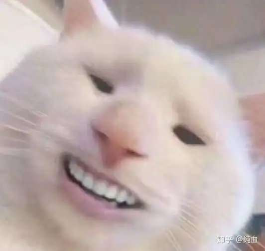 如何看待食物语周年庆策划的一系列操作