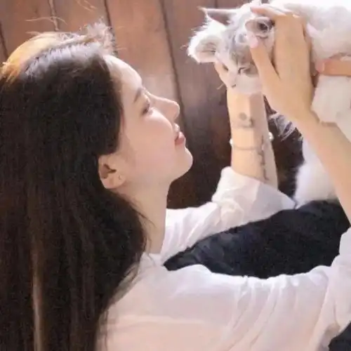 高级氛围感微信头像