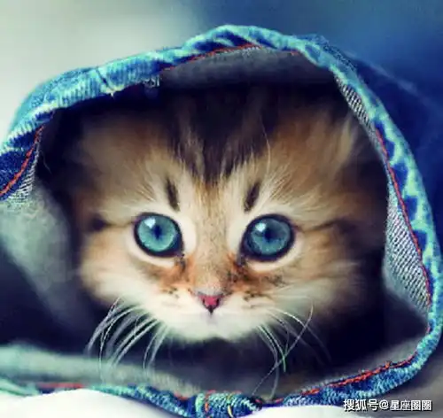 感情里占有欲最强的三个星座,掌控恋人一把手,悄悄占据对方生活