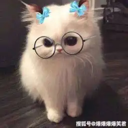 爆笑段子在街上,见到同事和她五岁的女儿老爸