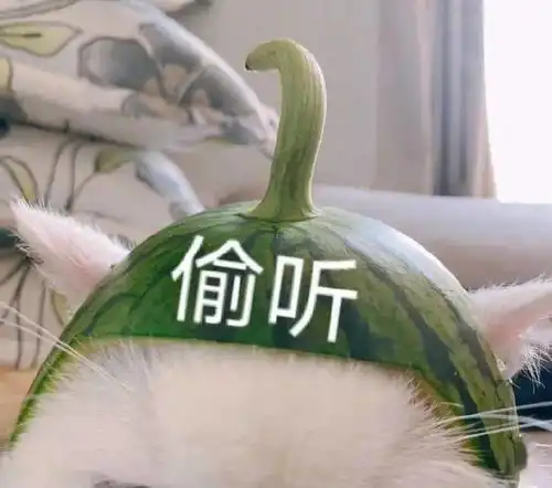 杨天真被指为秦岚新剧原型有女团梦的真真子明明走的是翻版张雨绮路线
