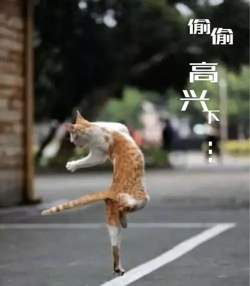 对别人的痛苦幸灾乐祸,过失非常大