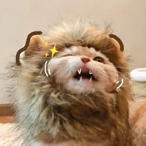 爱的另一种表达方式情头