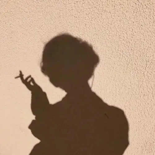 测试一个超长简介的文章