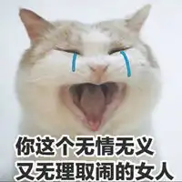 电你猫猫图表情包微信头像图片大全