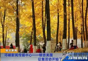 邛崃新闻传媒中心银杏美图征集活动开始