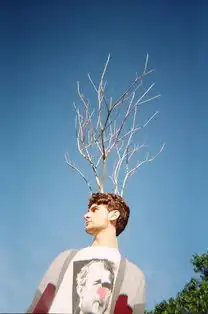 2014052709194213467.jpg