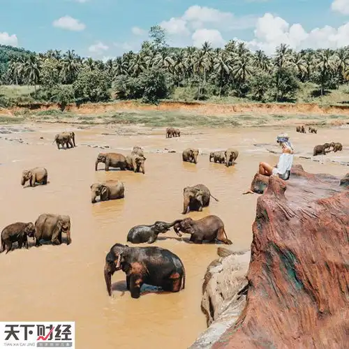 这对情侣环游世界每张游照卖9千美元