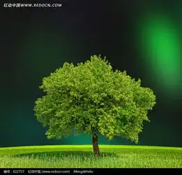 绿树草地图片免费下载编号622757红动网