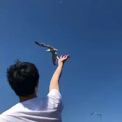 男生头像背影帅气高清没人爱我怎么样