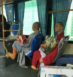 情人节单身狗的正确生活方式