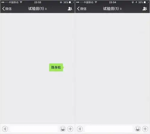 微信透明头像昵称透明消息,亲妈都不认识了