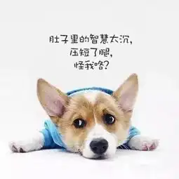 我腿短,我骄傲,我为国家省布料