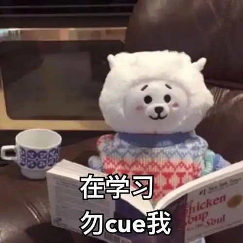 国际学校都是怎么学数学的和公立有差异吗