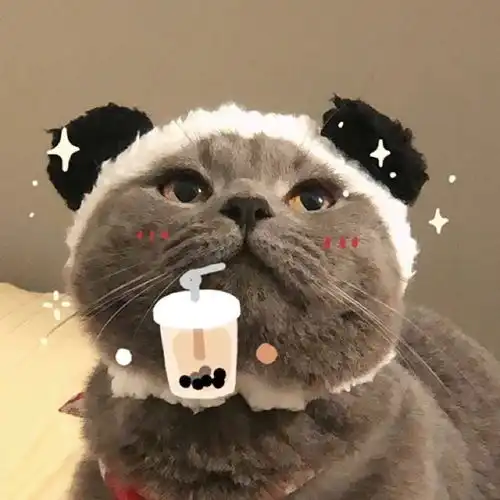 可爱沙雕的朋友圈文案