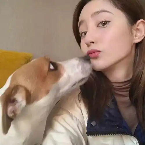 女生头像情出自愿
