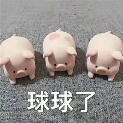 猪猪表情包生活不易猪猪自闭