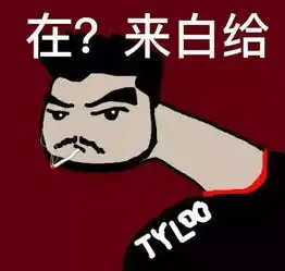 究竟是csgo成就了他,还是他带火了csgo