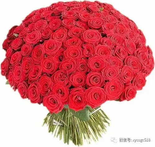 情人节遇上春节,为你的爱人送上最真挚的爱,鲜花火爆预订中.........