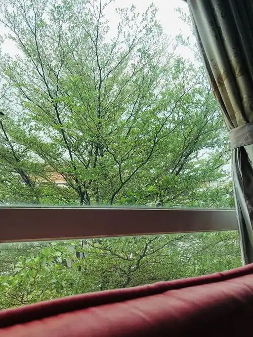 心情低落