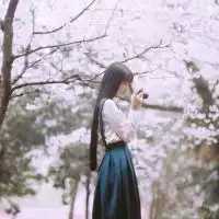 测试一个超长简介的文章