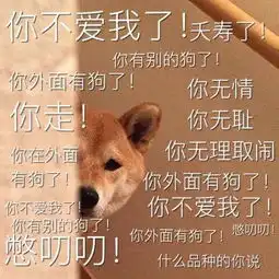永结同心萌乐书剑恩仇录完美情侣盘点