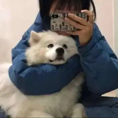 今日份微信情侣头像
