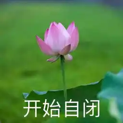 爆笑不要轻易给父母发表情包哈哈哈哈哈哈哈笑到窒息